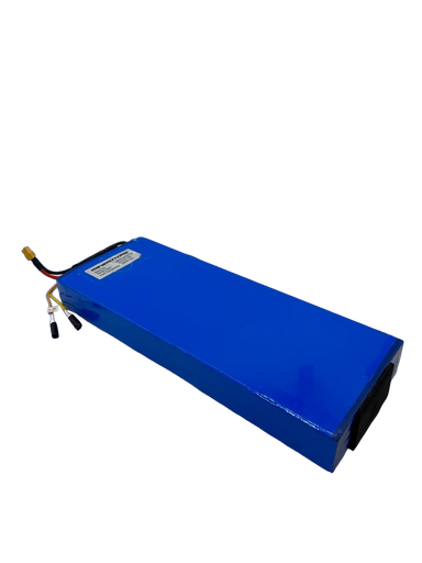 Batterie reconditionnée Dualtron Mini