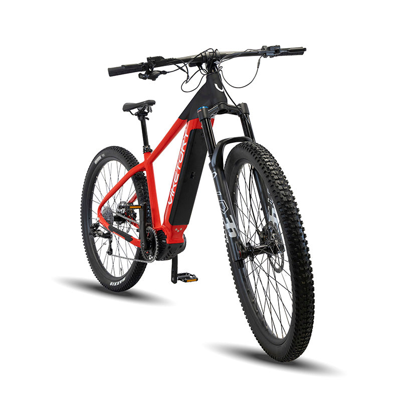 ROKTAR +Plus vélo électrique VTT vue 3