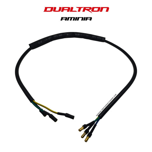 Câble contrôleur vers moteur Dualtron Aminia