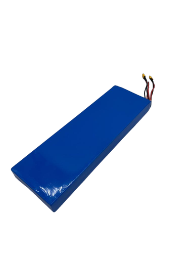 Batterie 52V 21Ah - Dualtron Aminia double moteur
