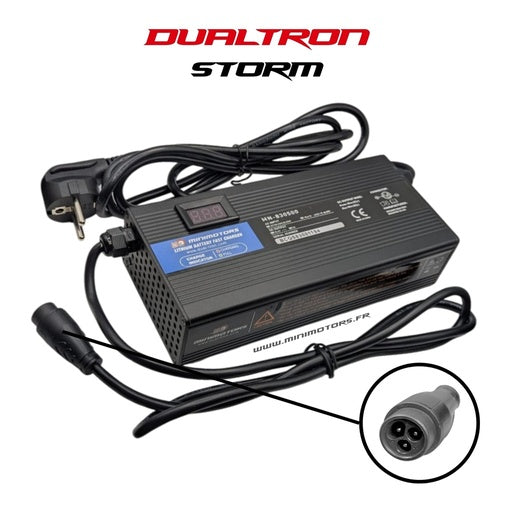 Chargeur rapide 95,4V 4A Dualtron X LTD et Storm LTD