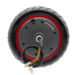 Moteur 36V 300W 6,1/B34 pour Xiaomi [Ewheel] — vue 3