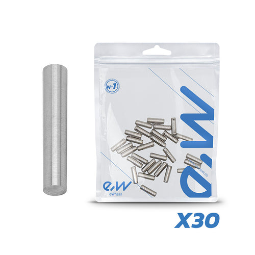Goupille de charnière V1 Dualtron – lot de 30 unités