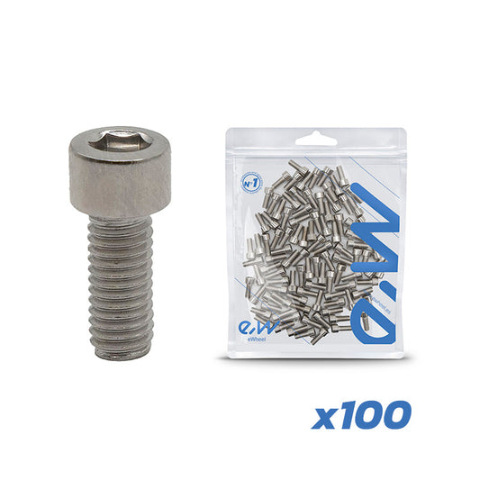 Vis de garde-boue Dualtron 100 pcs référence EWM524