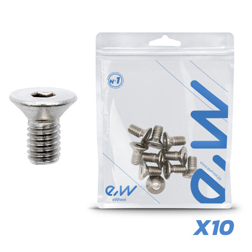 Vis inox charnière dualtron 10 pcs