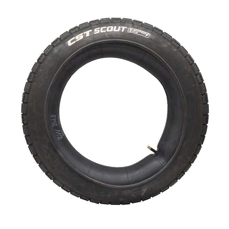 Pneu 20x4 référence EWF271