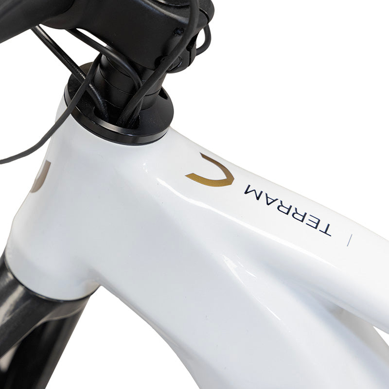 VTT électrique Terram 2.0 Blanc / Gris quartz référence EW5544