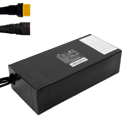 Batterie 48V 15,6 A/h pour Smartgyro Speedway [Ewheel]