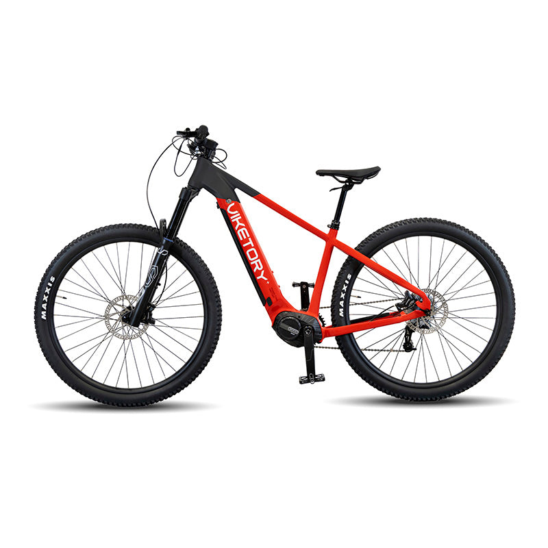 ROKTAR +Plus vélo électrique VTT vue 2