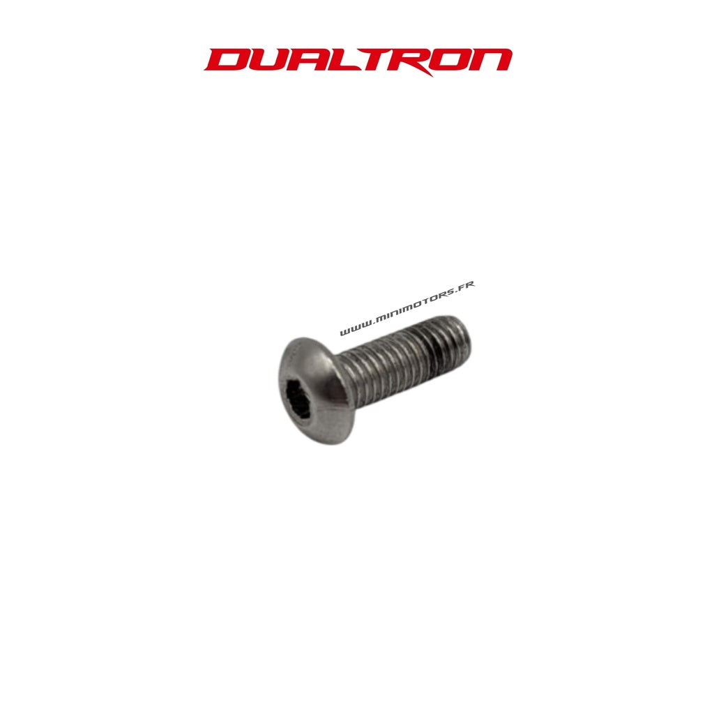 Vis de fixation pour écran EY4 Dualtron