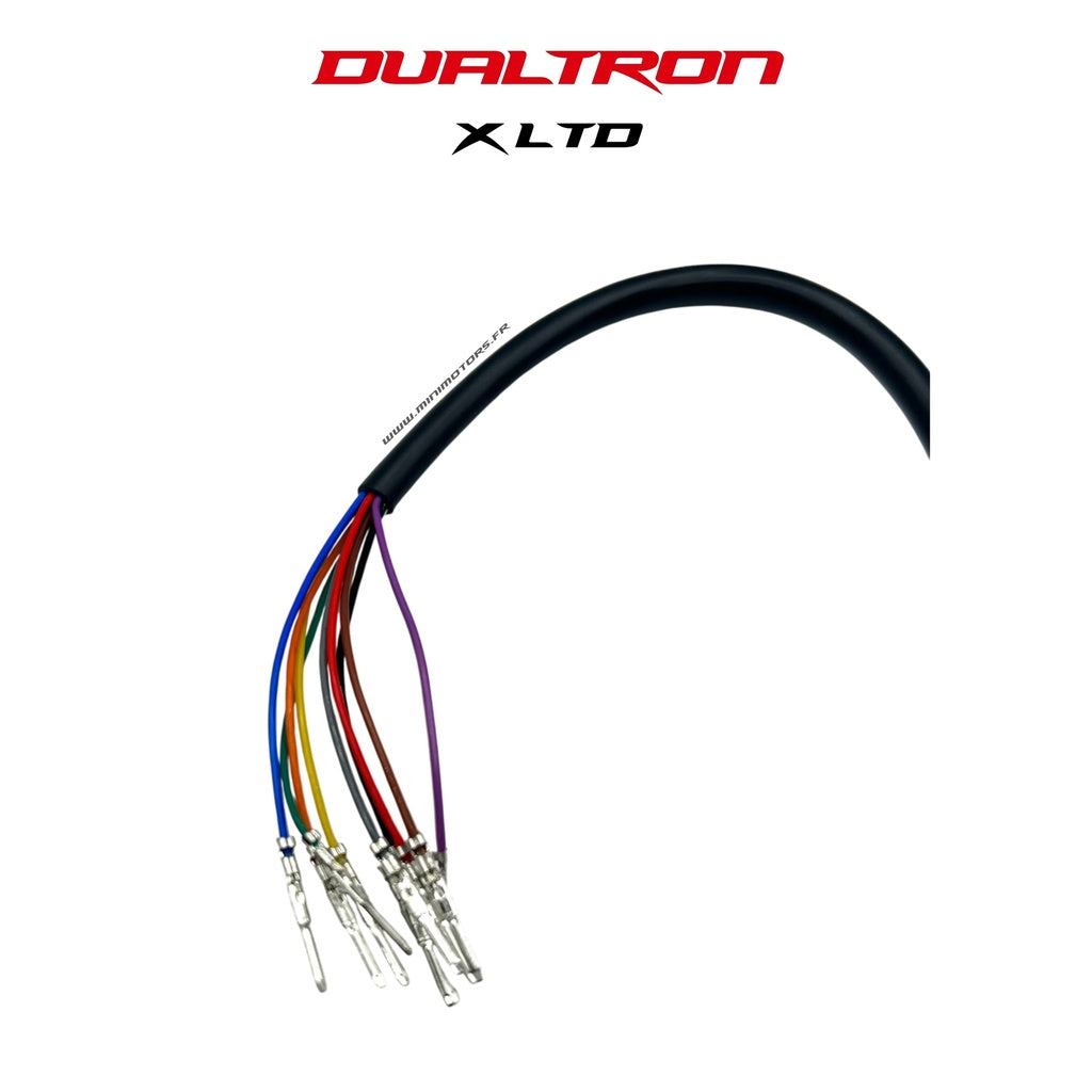 Display EY4 et accélérateur pour Dualtron X Limited