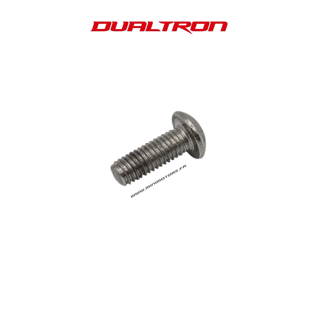 Vis de fixation pour écran EY4 Dualtron
