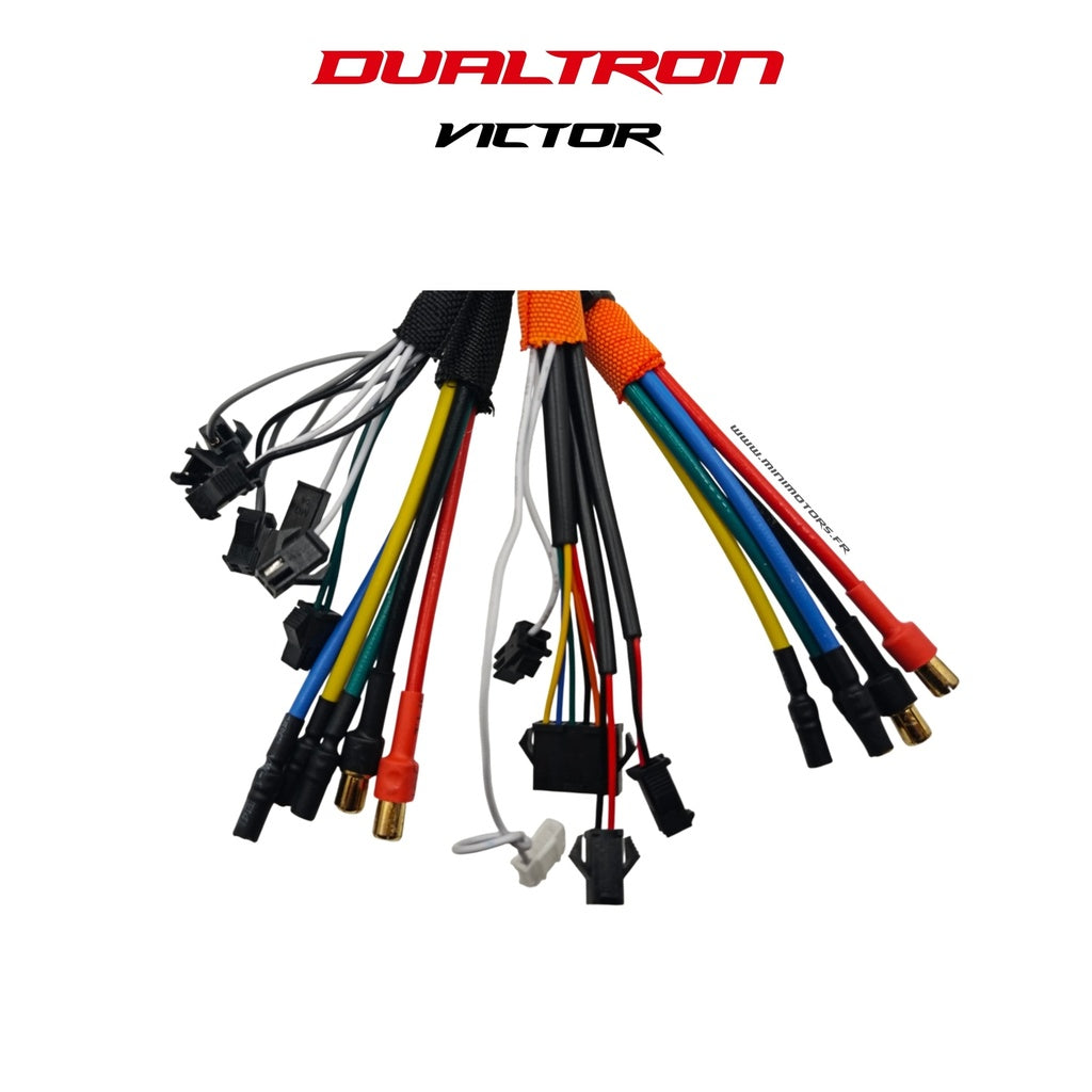 Contrôleur 60V LDVH Dualtron Victor, Luxury, Luxury + et Limited