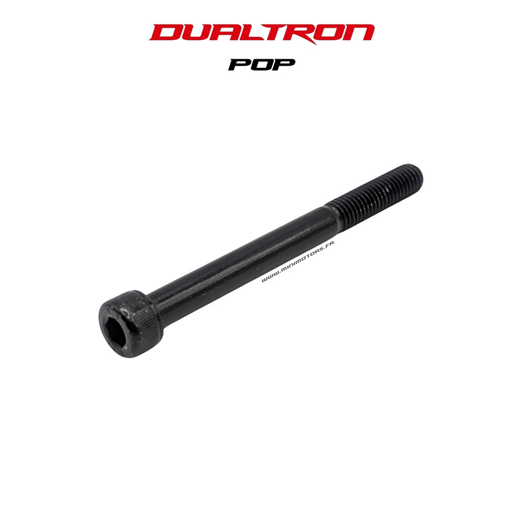 Axe de fourche arrière Dualtron Pop et Pop Mono
