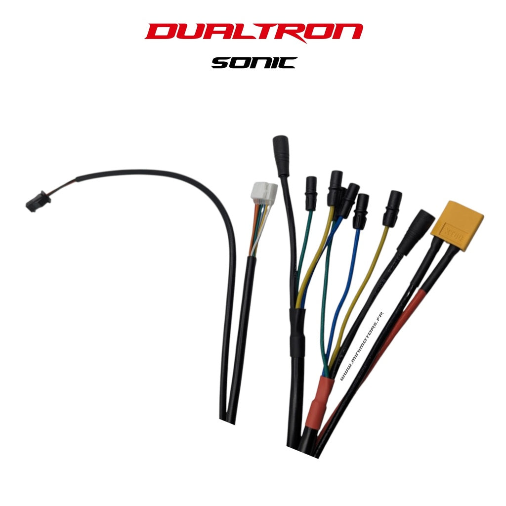 Contrôleur électronique pour Dualtron Sonic