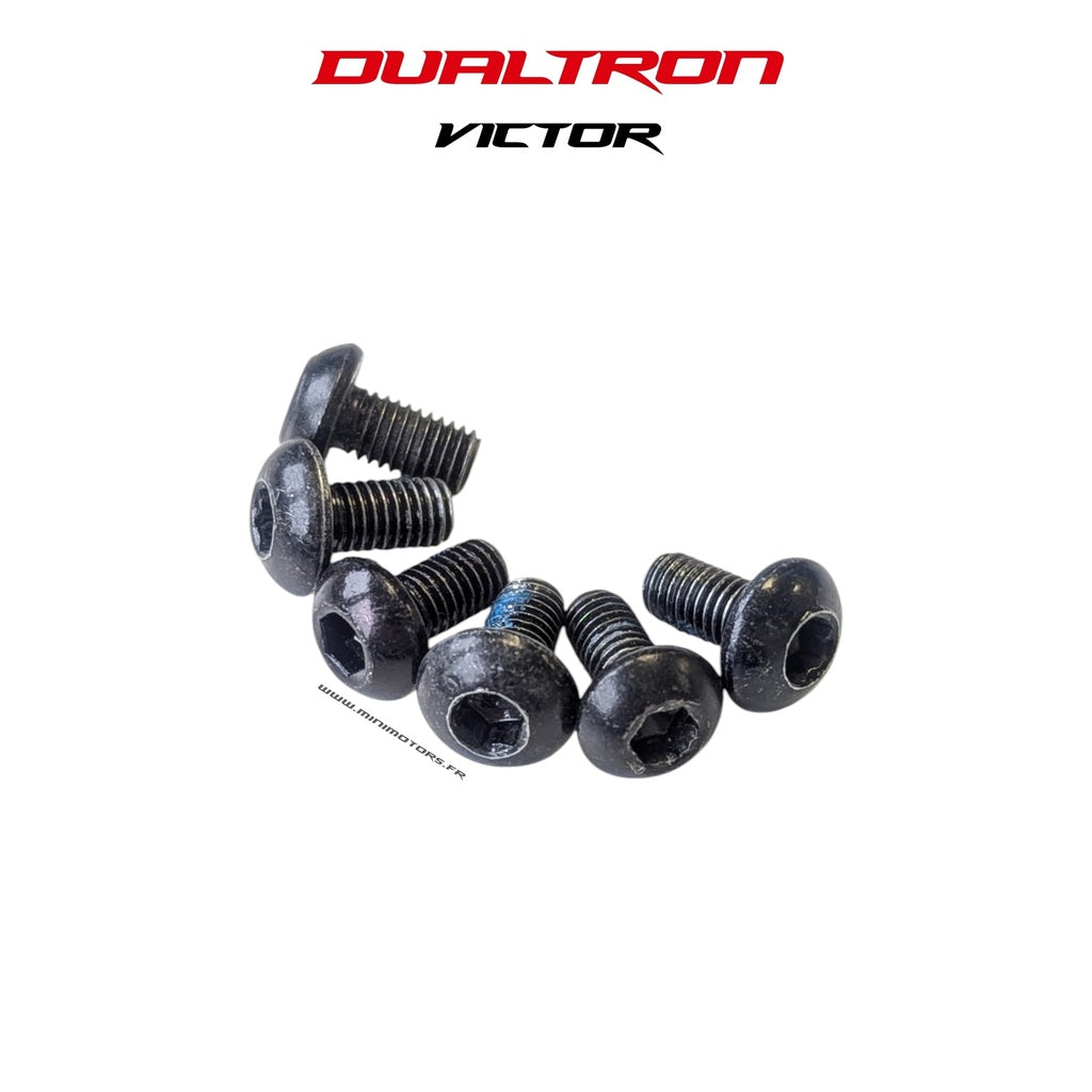 Vis de disque de frein Dualtron Victor (lot de 6)