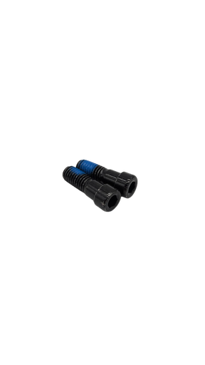 Vis de fourche de suspension M8x22 V2 x2 Dualtron Pop