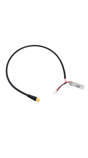 Clignotant avant droit Dualtron Dolphin