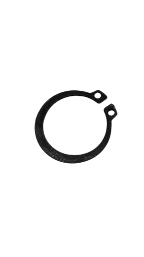 Circlip Dualtron Dolphin