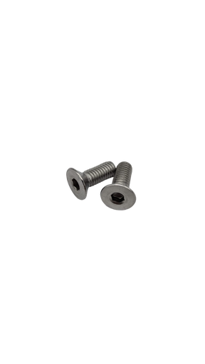 Vis de support d'écran EY2 M6x16 (lot de 2) pour Dualtron Pop