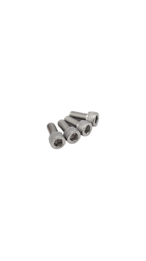 Vis de support de guidon M6x14 inox 304 par 4 Dualtron Togo et Togo LTD